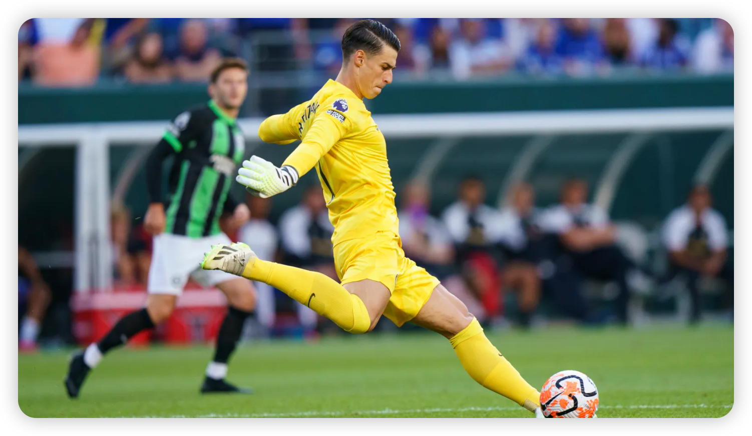 Expert Analysis from Jeetbuzz Team